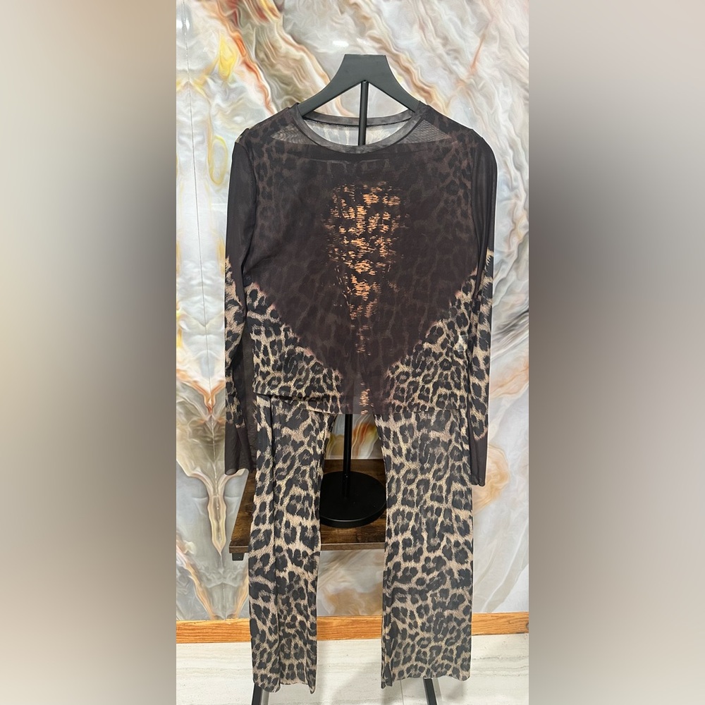 Leopard Print Long Sleeve Top and Pants Set